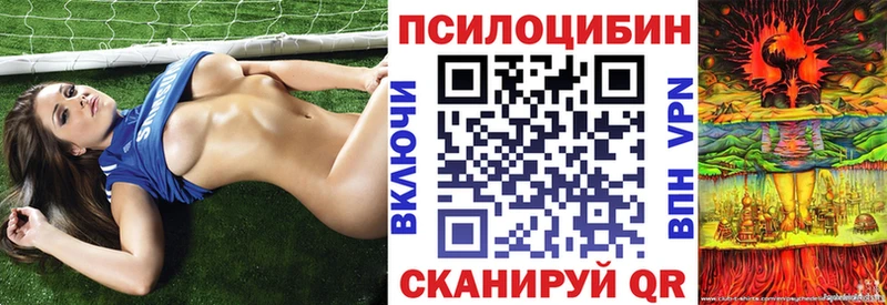 Псилоцибиновые грибы GOLDEN TEACHER  цена наркотик  гидра сайт  Узловая 