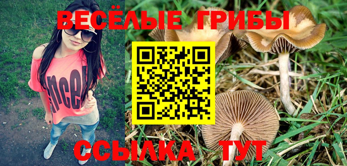 Узловая  Псилоцибиновые грибы Magic Shrooms  Псилоцибиновые грибы Magic Shrooms  Вход с VPN 